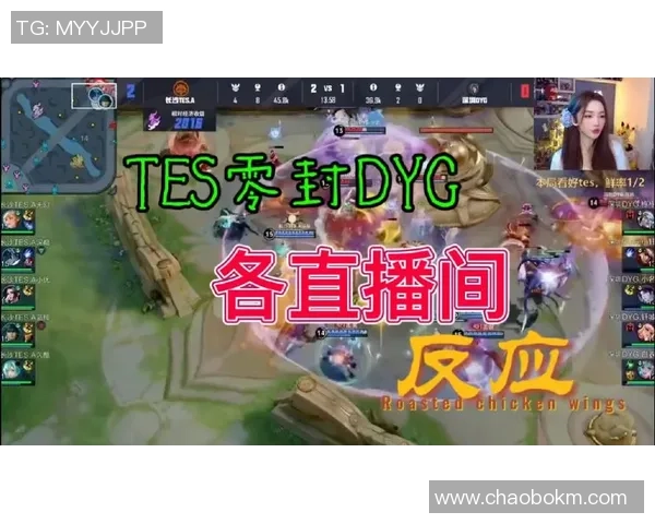 王者荣耀专题：聚焦TES的意识